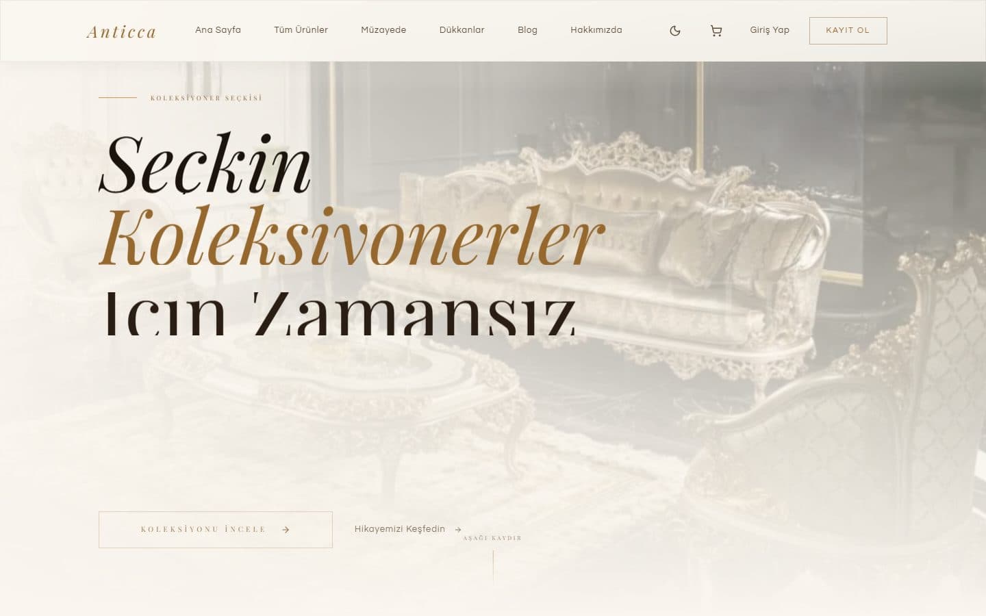Anticca web sitesi ekran görüntüsü